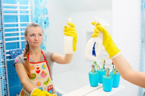 Window cleaning service for Hammersmith residential and commercial properties