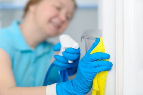 Weekly cleaning tasks in a Hammersmith kitchen and bathroom setting