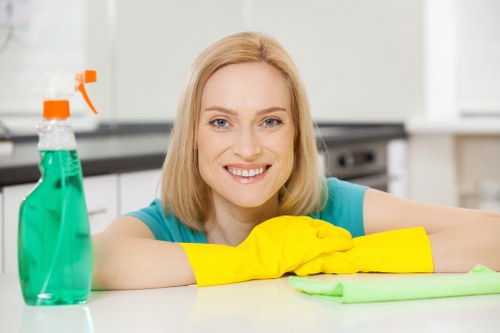 Step-by-step oven cleaning process for homes and businesses in Hammersmith