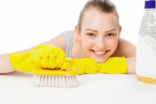Professional steam carpet cleaning for a Hammersmith home interior