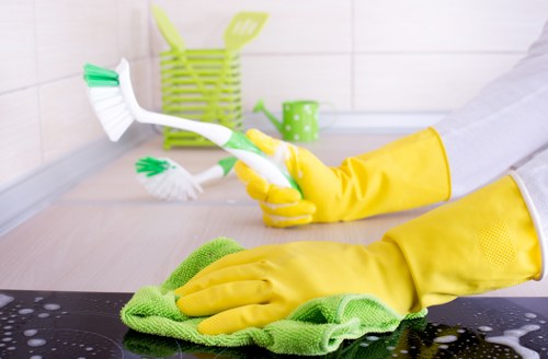 Local mattress cleaning service for rentals and homes in Hammersmith