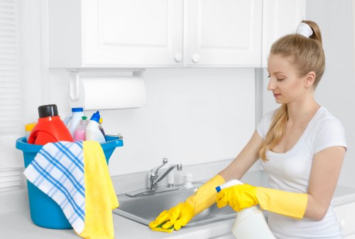 Risk assessment before carpet cleaning in a home